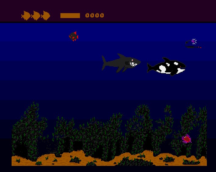 Fishy Fishy