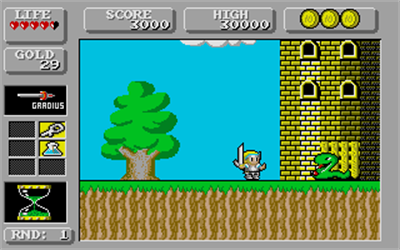 Super Wonder Boy in Monsterland - Screenshot - Gameplay Image