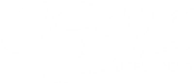 Aegis Defenders - Clear Logo Image
