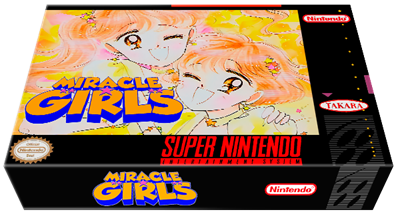 Miracle Girls: Tomomi to mi Kage no Fushigi Sekai no Dai Bouken - Box - 3D Image