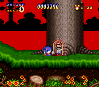 Sonic the Hedgehog - Screenshot - Gameplay Image