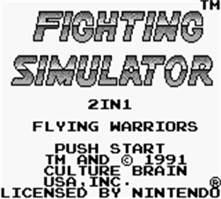 Fighting Simulator 2-in-1: Flying Warriors - Screenshot - Game Title Image