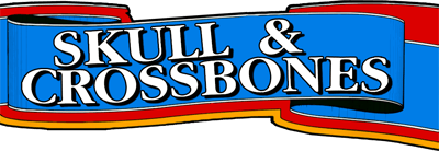 Skull & Crossbones - Clear Logo Image