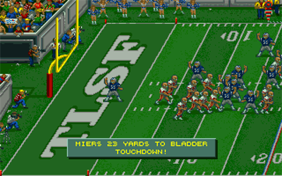 Tom Landry Strategy Football: Deluxe Edition - Screenshot - Gameplay Image