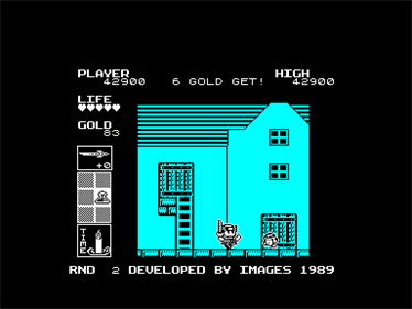 Super Wonder Boy in Monster Land - Screenshot - Gameplay Image