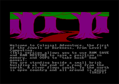 Colossal Adventure  - Screenshot - Gameplay Image