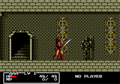 Cadash - Screenshot - Gameplay Image