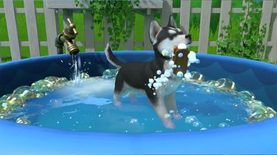 Little Friends: Puppy Island - Screenshot - Gameplay Image