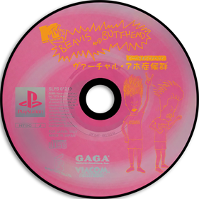 Beavis and Butt-Head in Virtual Stupidity - Disc Image