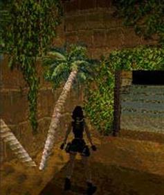 Tomb Raider: Starring Lara Croft - Screenshot - Gameplay Image