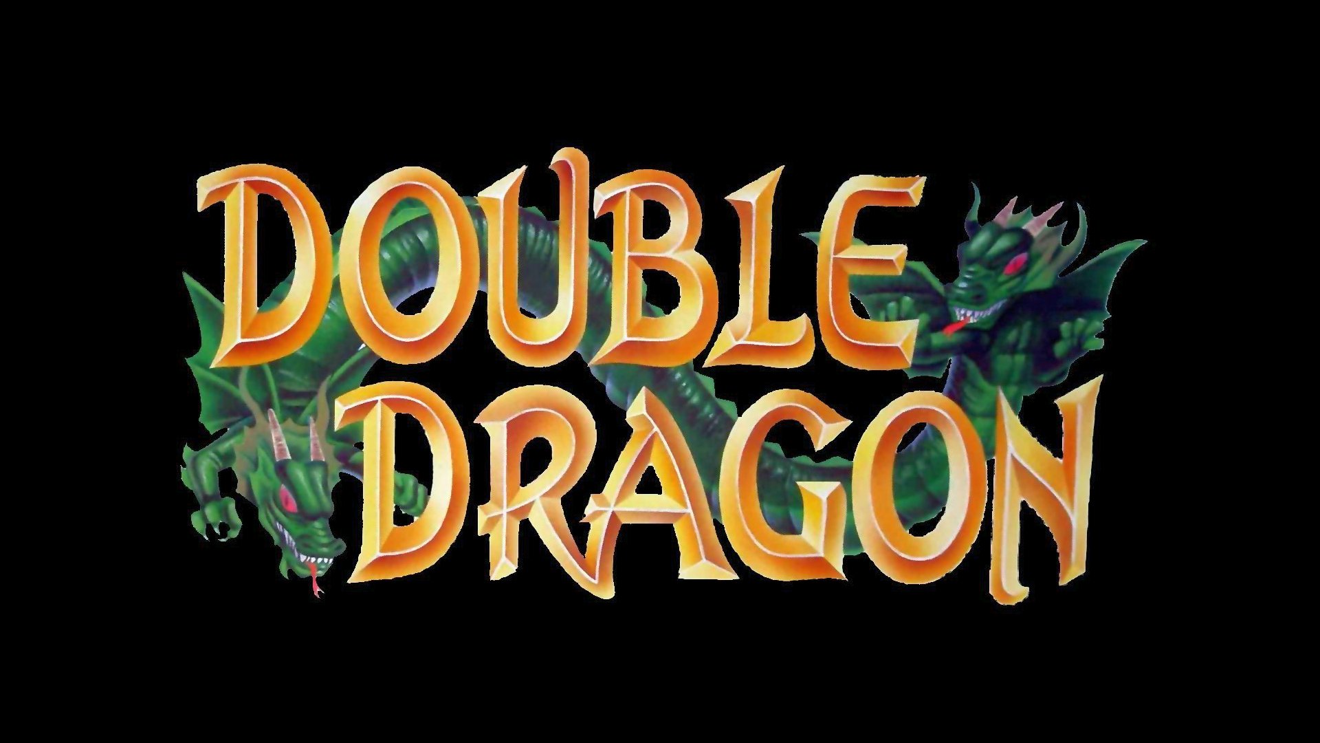 double dragon video game system