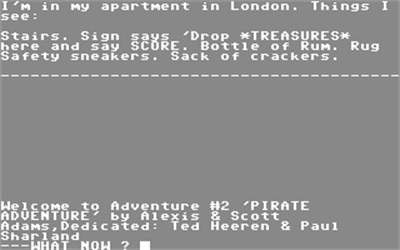 Pirate Adventure (Green Valley Publishing) - Screenshot - Gameplay Image