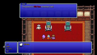 Final Fantasy II - Screenshot - Gameplay Image