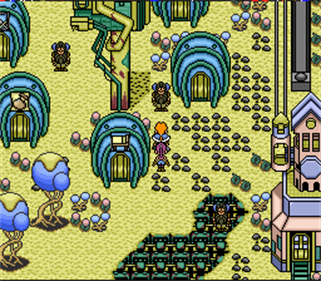 Paladin's Quest - Screenshot - Gameplay Image