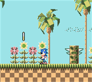 Sonic the Hedgehog - Screenshot - Gameplay Image