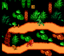 Donkey Kong Country NES Edition