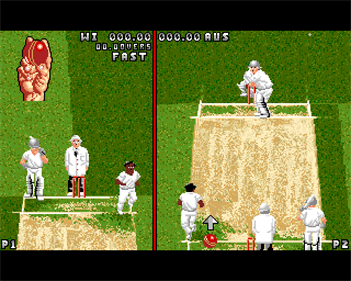 Ian Botham's Cricket - Screenshot - Gameplay Image