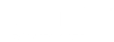 Wolfenstein: Youngblood - Clear Logo Image