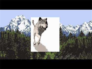 Wolf - Screenshot - Gameplay Image