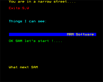 Secret Sam 2 - Screenshot - Gameplay Image