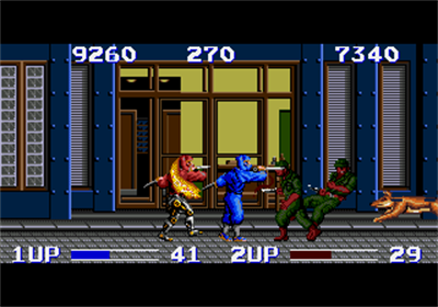 The Ninjawarriors - Screenshot - Gameplay Image