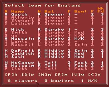 Test Match Cricket - Screenshot - Gameplay Image