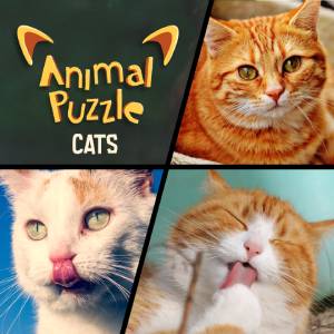 45db212c-a963-4485-bde5-840bf9b7805f.jpg