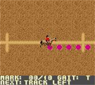 Equestriad 2001 - Screenshot - Gameplay Image