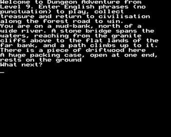 Dungeon Adventure - Screenshot - Gameplay Image