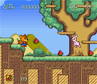 Poko-Nyan!: Henpokorin Adventure - Screenshot - Gameplay Image