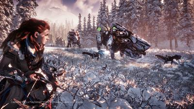 Horizon Zero Dawn: Complete Edition - Screenshot - Gameplay Image