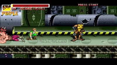 Battletoads Double Dragon: The Revenge - Screenshot - Gameplay Image