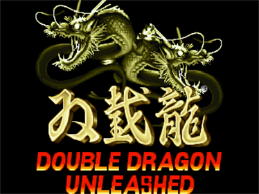 Double Dragon Unleashed - Screenshot - Game Title Image