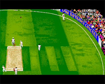 Ian Botham's Cricket - Screenshot - Gameplay Image