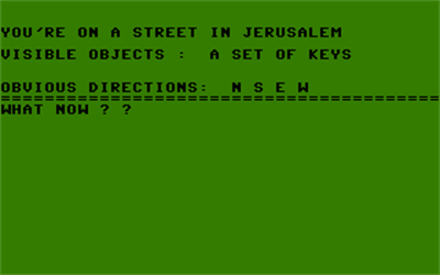 Jerusalem: Adventure 2 - Screenshot - Gameplay Image