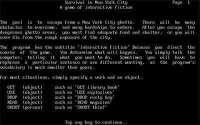 Survival in New York City - Screenshot - Game Title Image