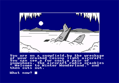 Winter Wonderland  - Screenshot - Gameplay Image