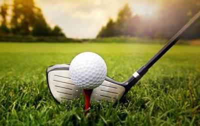 Leader Board: Pro Golf Simulator - Fanart - Background Image