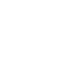 Falconian Invaders - Clear Logo Image