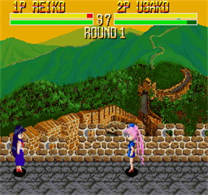 Bishoujo Senshi Lady Fighter - Screenshot - Gameplay Image