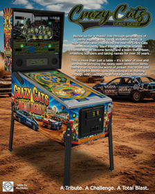 Crazy Cats: Demo Derby