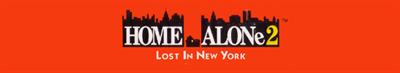 Home Alone 2: Lost in New York - Banner Image