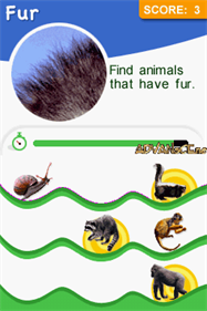 Animal Genius - Screenshot - Gameplay Image