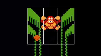 Donkey Kong 3 - Fanart - Background Image