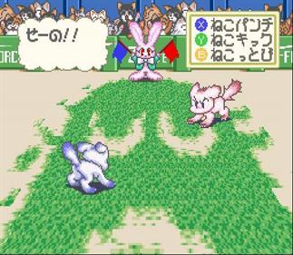 Asameshimae Nyanko - Screenshot - Gameplay Image