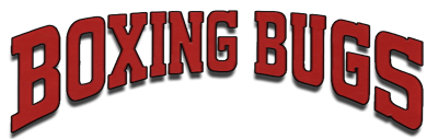 Boxing Bugs - Clear Logo Image