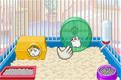Petz: Hamsterz 2 - Screenshot - Gameplay Image