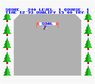 Trial Ski - Screenshot - Gameplay Image