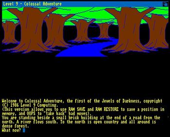 Colossal Adventure - Screenshot - Gameplay Image