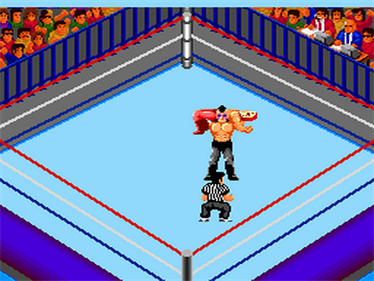 Fire Pro Wrestling: Combination Tag - Screenshot - Gameplay Image